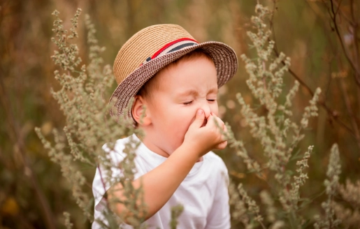petit garçon qui éternue à cause du pollen