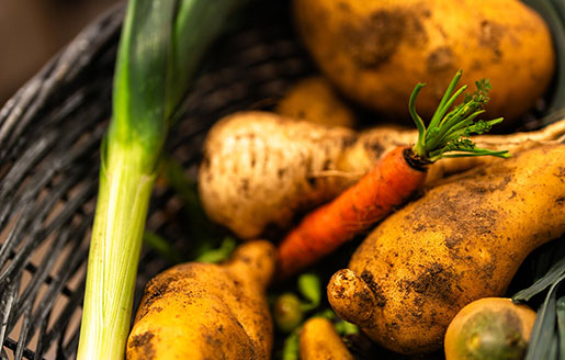 Un panier rempli de légumes fraîchement cueillis.